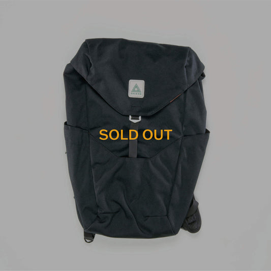 The Daypack 007